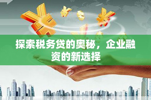 宜君探索税务贷的奥秘，企业融资的新选择