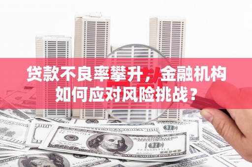 宜君贷款不良率攀升，金融机构如何应对风险挑战？