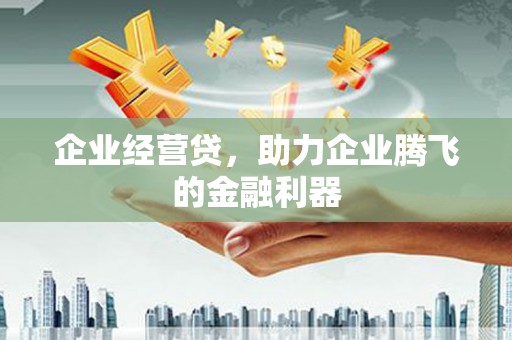 宜君企业经营贷，助力企业腾飞的金融利器
