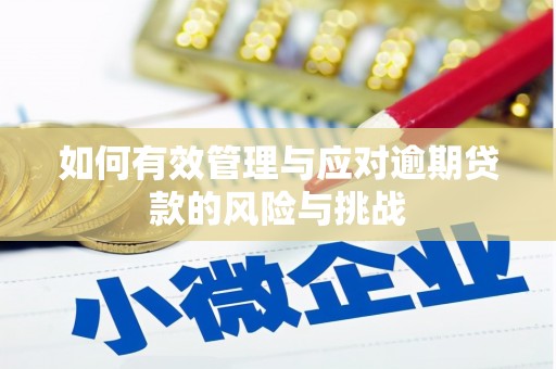 宜君如何有效管理与应对逾期贷款的风险与挑战