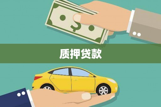 宜君质押贷款