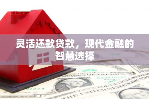 宜君灵活还款贷款，现代金融的智慧选择