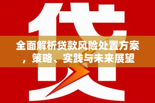 宜君全面解析贷款风险处置方案，策略、实践与未来展望