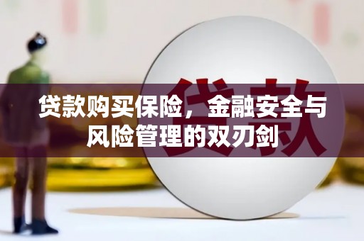 宜君贷款购买保险，金融安全与风险管理的双刃剑