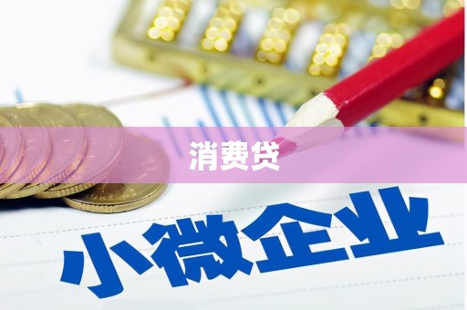 宜君消费贷