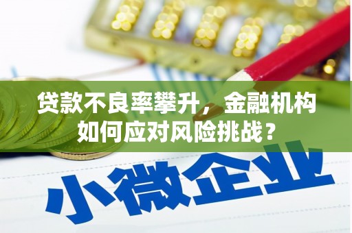 宜君贷款不良率攀升，金融机构如何应对风险挑战？