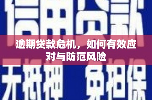 宜君逾期贷款危机，如何有效应对与防范风险
