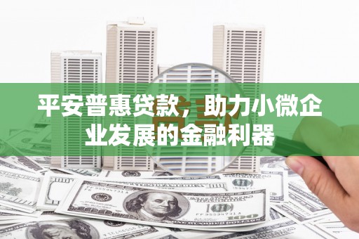 宜君平安普惠贷款，助力小微企业发展的金融利器