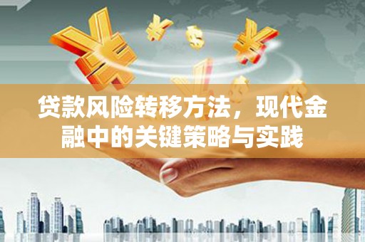 宜君贷款风险转移方法，现代金融中的关键策略与实践