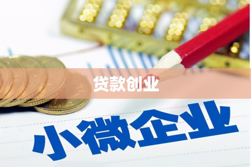 宜君贷款创业