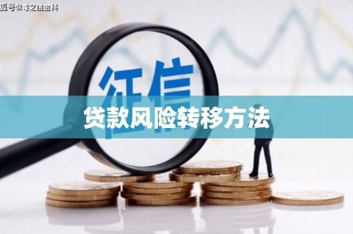 宜君贷款风险转移方法