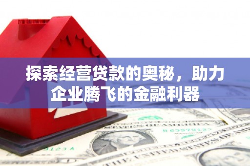 宜君探索经营贷款的奥秘，助力企业腾飞的金融利器