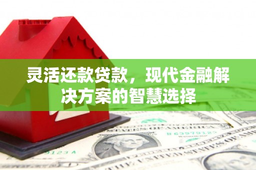 宜君灵活还款贷款，现代金融解决方案的智慧选择