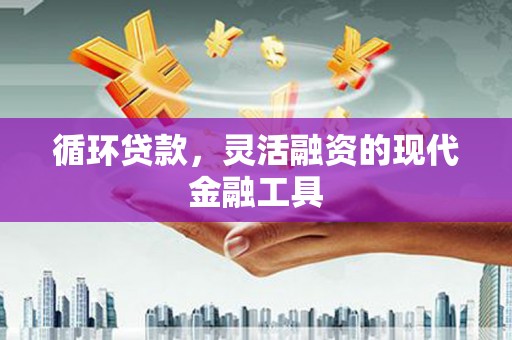宜君循环贷款，灵活融资的现代金融工具
