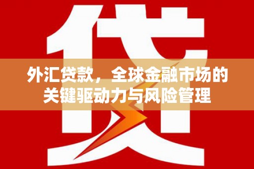 宜君外汇贷款，全球金融市场的关键驱动力与风险管理