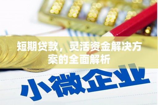 宜君短期贷款，灵活资金解决方案的全面解析