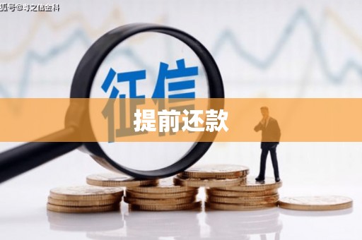宜君提前还款