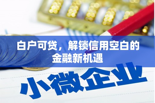 宜君白户可贷，解锁信用空白的金融新机遇