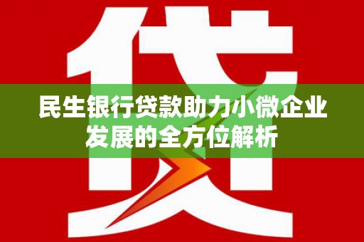 宜君民生银行贷款助力小微企业发展的全方位解析