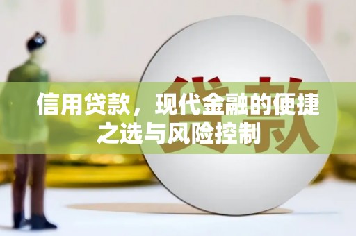宜君信用贷款，现代金融的便捷之选与风险控制