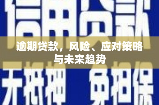 宜君逾期贷款，风险、应对策略与未来趋势