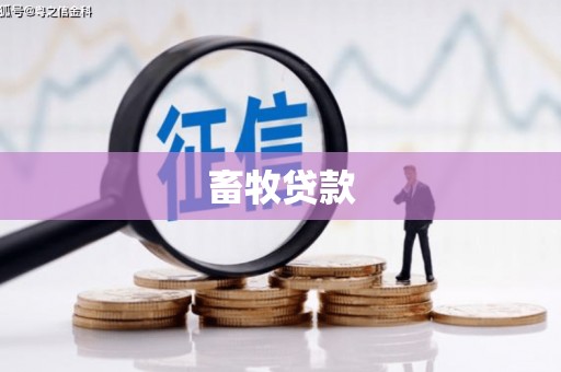 宜君畜牧贷款