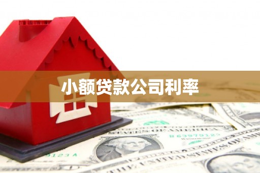 宜君小额贷款公司利率