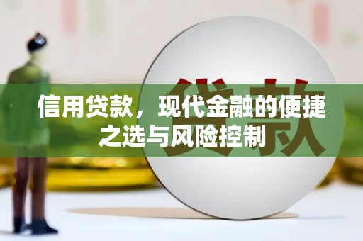 宜君信用贷款，现代金融的便捷之选与风险控制