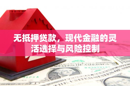 宜君无抵押贷款，现代金融的灵活选择与风险控制
