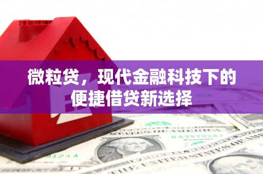 宜君微粒贷，现代金融科技下的便捷借贷新选择