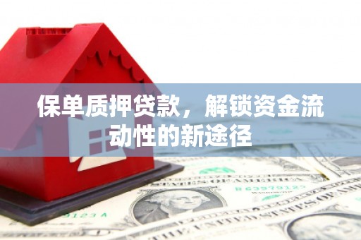 宜君保单质押贷款，解锁资金流动性的新途径