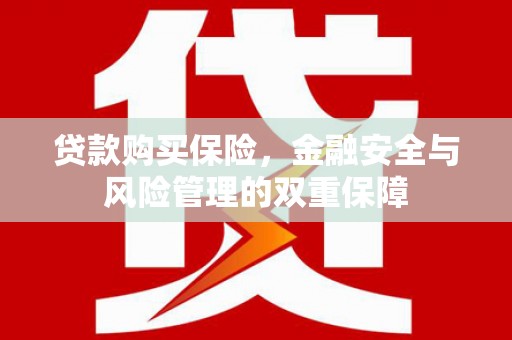 宜君贷款购买保险，金融安全与风险管理的双重保障
