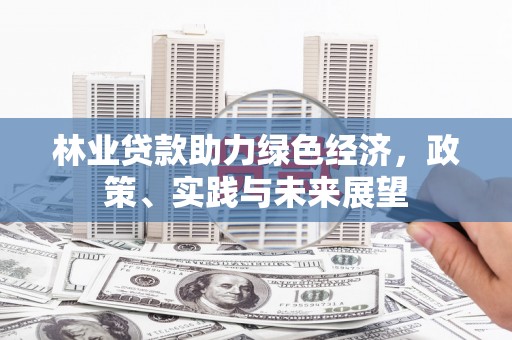 宜君林业贷款助力绿色经济，政策、实践与未来展望
