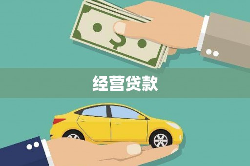 宜君经营贷款