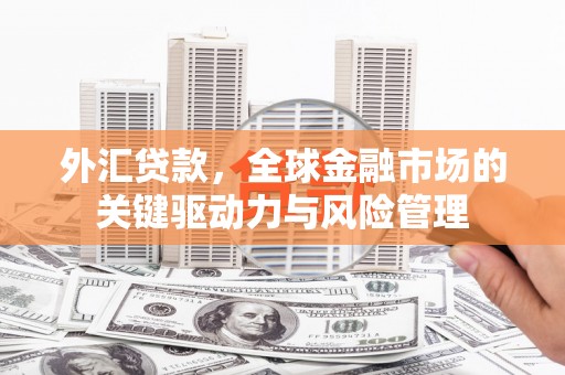 宜君外汇贷款，全球金融市场的关键驱动力与风险管理