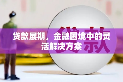 宜君贷款展期，金融困境中的灵活解决方案