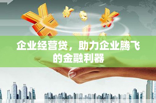 宜君企业经营贷，助力企业腾飞的金融利器