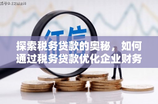 宜君探索税务贷款的奥秘，如何通过税务贷款优化企业财务