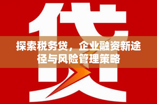 宜君探索税务贷，企业融资新途径与风险管理策略