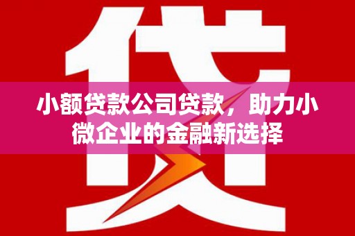 宜君小额贷款公司贷款，助力小微企业的金融新选择