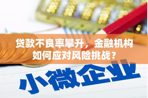 宜君贷款不良率攀升，金融机构如何应对风险挑战？