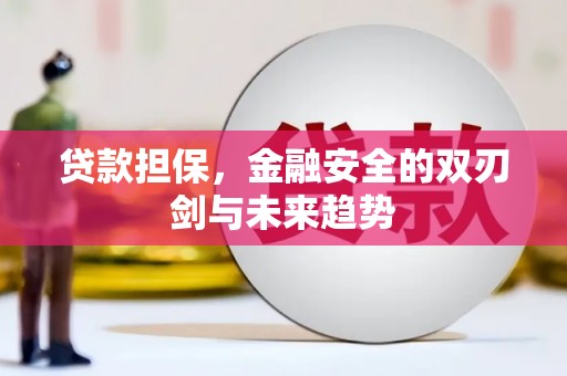 宜君贷款担保，金融安全的双刃剑与未来趋势