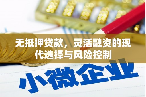 宜君无抵押贷款，灵活融资的现代选择与风险控制