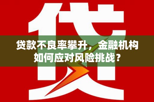 宜君贷款不良率攀升，金融机构如何应对风险挑战？