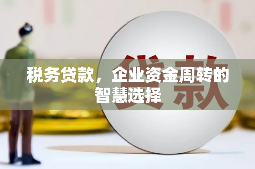 宜君税务贷款，企业资金周转的智慧选择