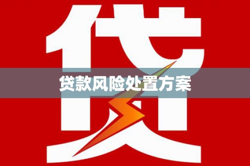 宜君贷款风险处置方案