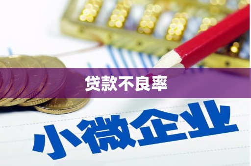 宜君贷款不良率