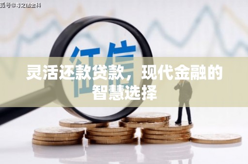 宜君灵活还款贷款，现代金融的智慧选择