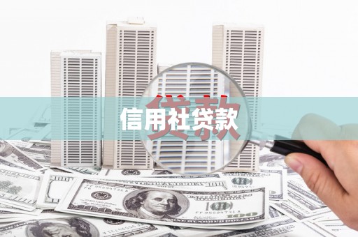 宜君信用社贷款