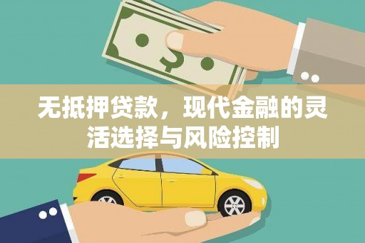 宜君无抵押贷款，现代金融的灵活选择与风险控制